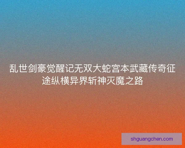 乱世剑豪觉醒记无双大蛇宫本武藏传奇征途纵横异界斩神灭魔之路