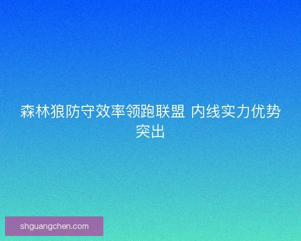 森林狼防守效率领跑联盟 内线实力优势突出