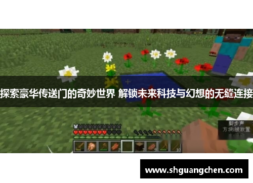 探索豪华传送门的奇妙世界 解锁未来科技与幻想的无缝连接