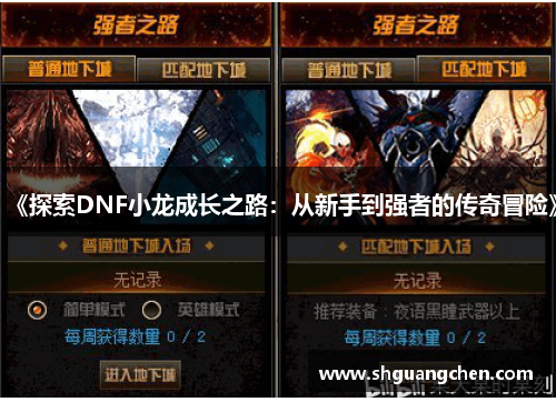 《探索DNF小龙成长之路：从新手到强者的传奇冒险》