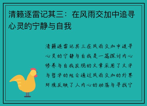 清籁逐雷记其三：在风雨交加中追寻心灵的宁静与自我